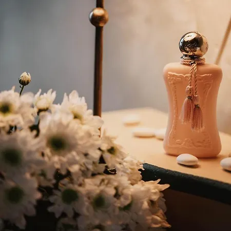 Tenuta Montezeglio Hotel 3*